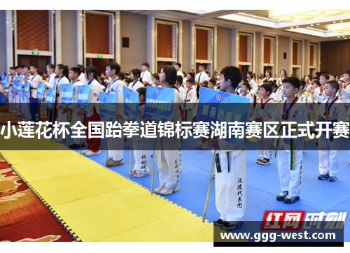 小莲花杯全国跆拳道锦标赛湖南赛区正式开赛